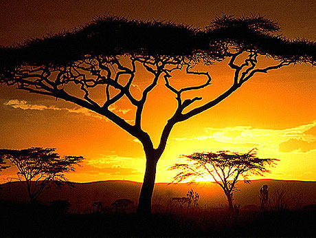 Afrikai naplemente (Fotó: afrikautazas.hu)