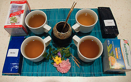 Mate tea házi teszt (Fotó: MsTea)