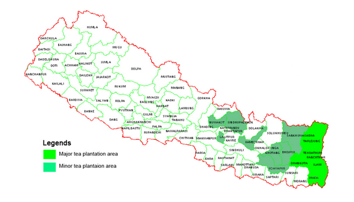 Térkép forrás: Nepal Tea and Coffee Development Board